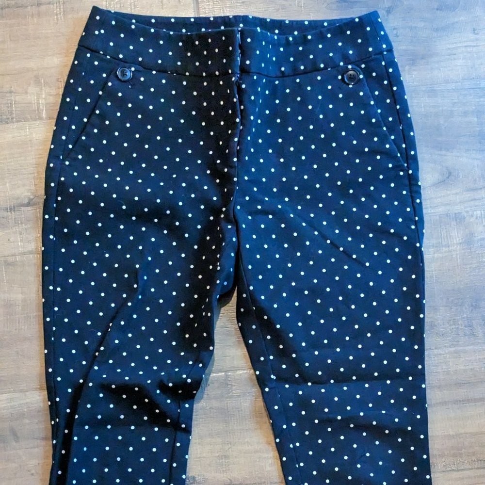 Ann Taylor Loft Marisa Skinny Petite Work Pants